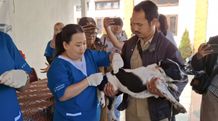 Program Vaksinasi Gratis “Stop Rabies” di Desa Singapadu Tengah untuk Mencegah Penyebaran Rabies Stop Rabies