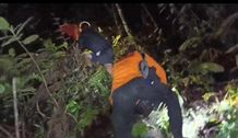 Warga Mendengar Teriakan Minta Tolong di Hutan Gunung Agung, Tim SAR Temukan Dua WNA Inggris di Ketinggian 1700 MDPL WNA