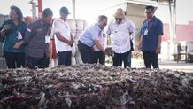 Efektif Kurangi Volume Sampah, Mesin Pengolahan Sampah Menjadi RDF di TPA Peh Segera Ditingkatkan Pengolahan Sampah Menjadi RDF