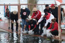 Bupati Tabanan Tebar Benih Ikan di Danau Beratan Ikan