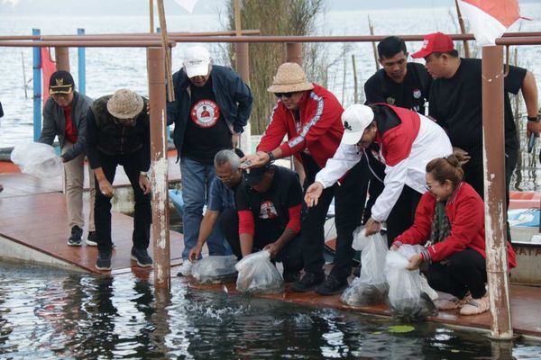 BaliPortalNews_ Ikan Ikan