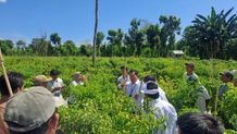 Buleleng Alami Deflasi, TPID Buleleng Kunjungi Petani Cabai Bubunan Jalin Kerja Sama Inflasi