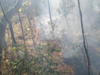 Warga Minta Damkar Karangasem Siagakan Armada di Kecamatan Kubu untuk Antisipasi Kebakaran Lahan Kebakaran