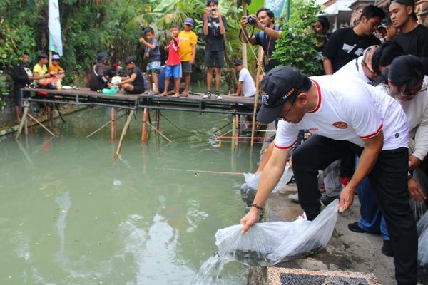 Mancing
