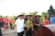 Wawali Arya Wibawa Serahkan Bantuan Hibah Kepada Petani, Pastikan Keberlanjutan Produksi Pangan Lokal Petani