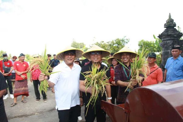 BaliPortalNews_ Petani Petani
