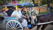 Revitalisasi Dokar di Jembrana, Langkah Strategi Pemkab Jembrana Dongkrak Pariwisata Revitalisasi Dokar