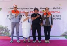 Pemkab Jembrana Sambut Baik, Green Mangrove Action Program di KTH Lindu Segara Tanjung Pasir Desa Tuwed Green Mangrove Action