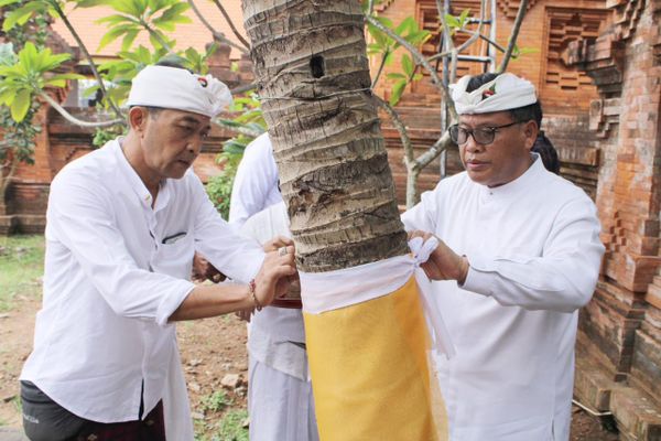 Nguduh Sarwa Tumuwuh