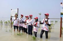 Tanam Ribuan Pohon, AHM Perkuat Upaya Penyerapan Karbon untuk Mitigasi Perubahan Iklim Tanam Pohon