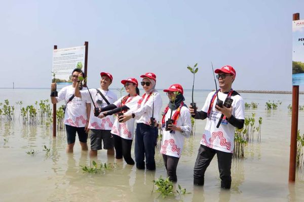 Tanam Pohon