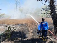 Ratusan Hektar Lahan Terbakar Sepanjang Agustus di Karangasem kebakaran