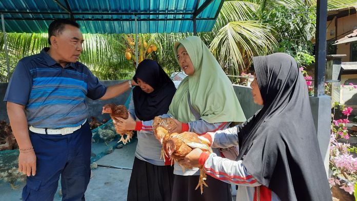 Bantuan Ayam Petelor
