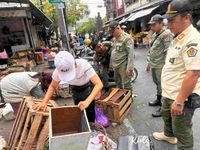 Membandel, Satpol PP Denpasar Kembali Tertibkan Pedagang Pasar Tumpah Sanglah penertiban