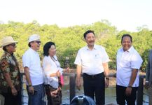 Disaksikan Menko Marves, Pj Gubernur Bali Mahendra Tanam Bibit Mangrove yang Diberkati Paus Fransiskus Tanam Bibit Mangrove