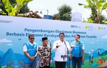 Ubah Lahan Kritis Jadi Hijau dan Produktif, PLN Kembangkan Ekosistem Biomassa Berbasis Pertanian Terpadu PLN