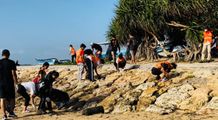 Pelestarian Lingkungan dan Pelepasan Tukik, Ratusan Masyarakat Sanur Gelar Aksi Bersih-Bersih di Pantai Mercure Sanur Pelestarian Lingkungan