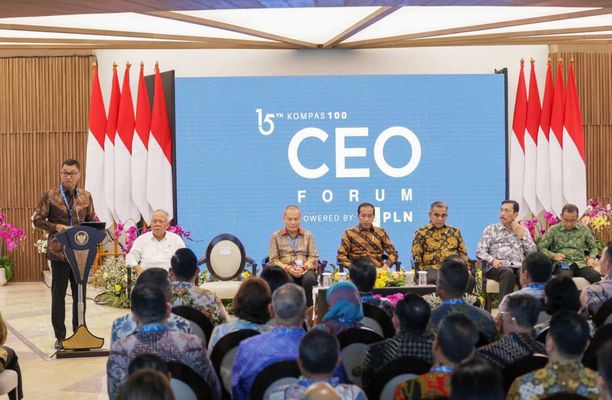 CEO PLN