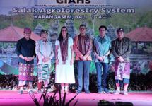Agroforestri Salak Sibetan Resmi Masuk Daftar Situs Warisan Pertanian Dunia GIAHS Salak
