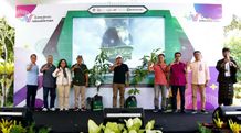 Sinergi OJK Bali Dengan BPD Bali Dukung Pengembangan Wirausaha Muda dan Program Keuangan Berkelanjutan OJK-BPD Bali