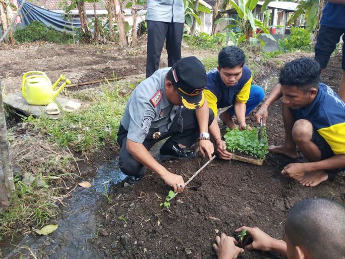 BaliPortalNews_ Bibit Bibit