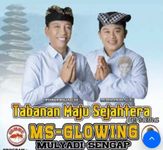Opsen Pajak Strategi Jitu Mulyadi untuk Pendanaan 21 Program Unggulan Semut MS Glowing