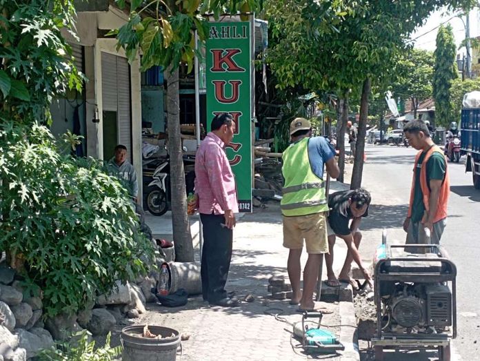 Lampu Hias _bpn Lampu Hias