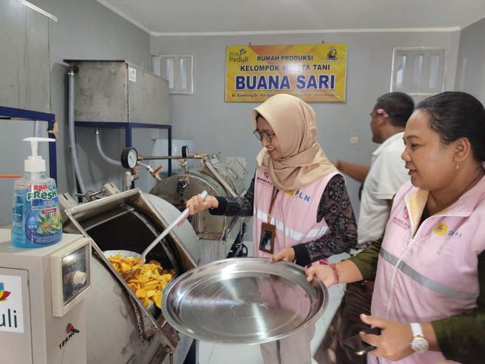 Wirausaha Wanita _baliportalnews Wirausaha Wanita