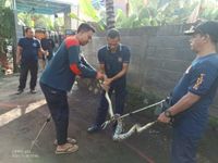 Warga Buleleng Resah Banyak Biawak dan Ular Masuk Rumah Saat Musim Hujan evakuasi hewan liar