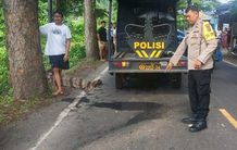 Pemuda Asal Tenganan Tewas dalam Kecelakaan Maut di Jalur Buitan Kecelakaan