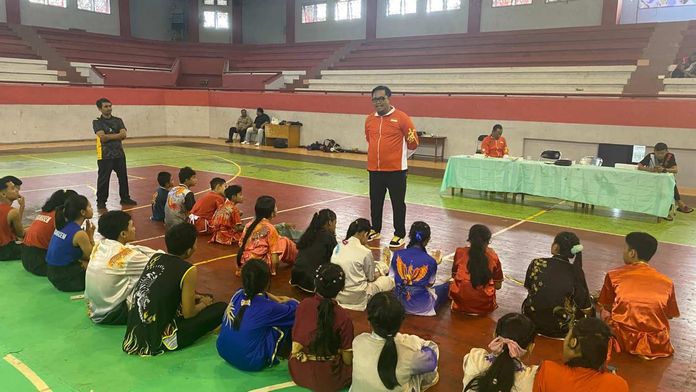 Wushu