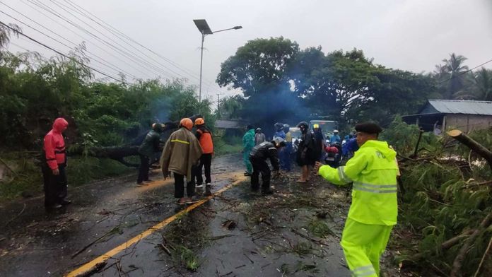 Tumbang Bonian - ist BPN Pohon Tumbang dan Longsor