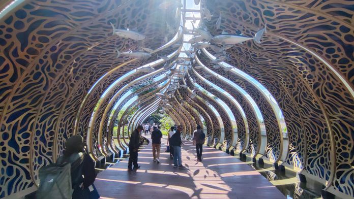 Marine Safari Bali, Surga Baru untuk Petualangan dan Eksplorasi Dunia Bawah Laut