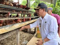 Pj Bupati Lihadnyana Serap Telur Lokal Hasi Peternak Desa Tajun Pj Bupati Lihadnyana