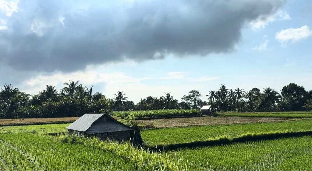 Kubu Bakas Guest House