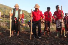 Program Kapas di Karangasem Terancam Gagal, Pembangunan Pabrik Perlu Dikaji Ulang Kapas