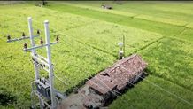 Dukung Tranformasi Pertanian Modern, Electrifying Agriculture PLN Raih 53.539 Pelanggan Baru di Tahun 2024 Sawah