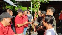 PDI Perjuangan Buleleng Tanam 500 Pohon Buah-buahan di Hutan Desa Ambengan Tanam Pohon