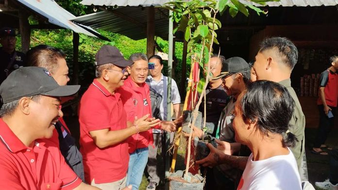 Tanam Pohon