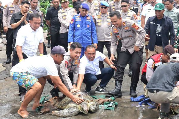 Lepasliarkan Penyu Lepasliarkan Penyu