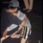 Warga Sebudi Histeris, Sapi Patah Tulang Akibat Suara Kembang Api Malam Tahun Baru Warga