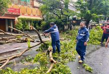 Cuaca Ekstrem Sebabkan Sejumlah Pohon Tumbang di Wilayah Denpasar, BPBD Imbau Masyarakat untuk Waspada Cuaca Ekstrem