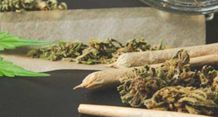 Antisipasi Peredaran Narkoba Organik, Polisi Akan Data Penjual Tembakau di Buleleng Ilustrasi Rokok Tembakau