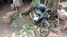 Tragedi di Karangasem, Rumah Tertimpa Pohon Kelapa, Nyawa Ni Nengah Ratnayasa Tak Terselamatkan Pohon Tumbang