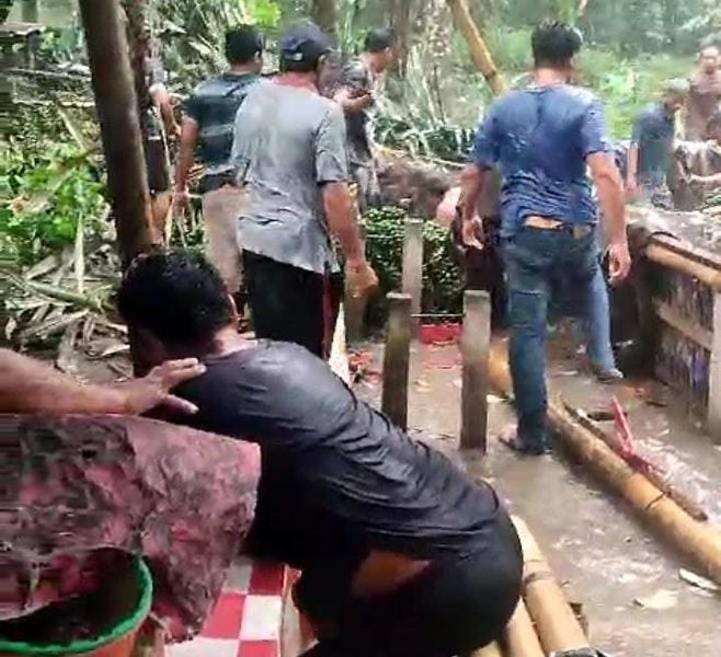 Pohon Tumbang
