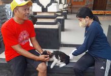 Tahun 2025, Distan Denpasar Targetkan Vaksinasi Rabies Sasar 91,13 Persen Populasi HPR Vaksinasi Rabies