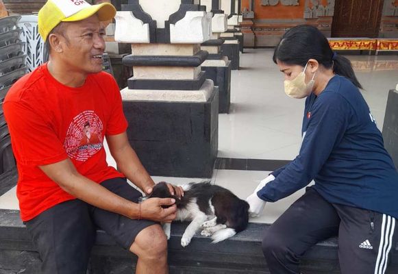 Vaksinasi Rabies Vaksinasi Rabies