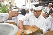 Wawali Arya Wibawa Hadiri Upacara Ngingsah di Pura Paibon Penyarikan, Tegallantang Ngenteg Linggih