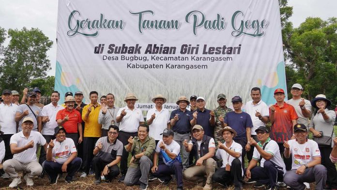 Gertam Padi Gogo