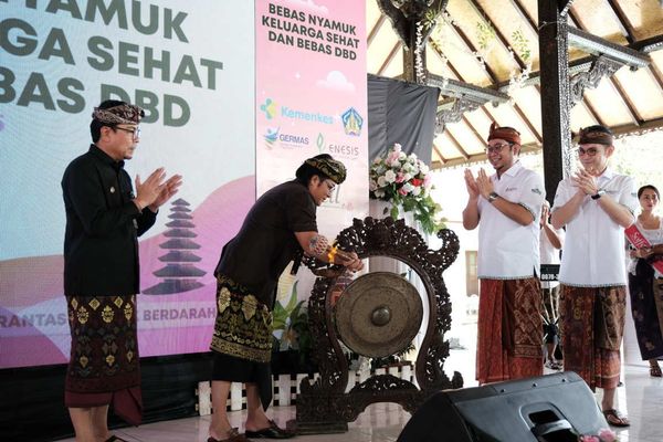 BaliPortalNews_ DBD DBD
